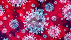 Koronavírus járvány tájékoztatás