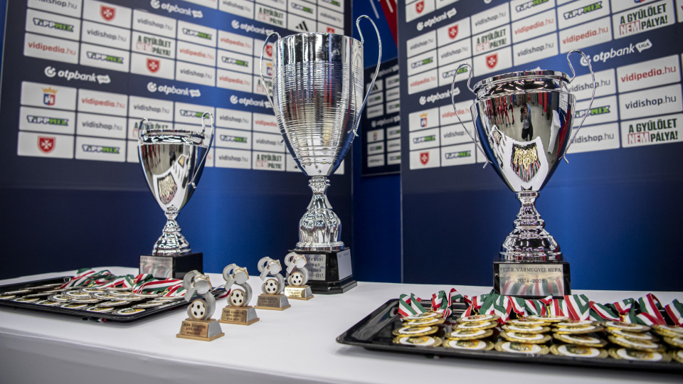 Fejér Vármegyei Kupa párosítások